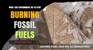 Policy Changes to End Fossil Fuel Usage