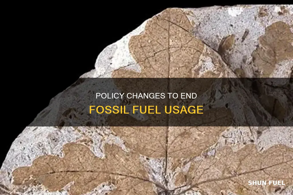 what can government do to stop burning fossil fuels