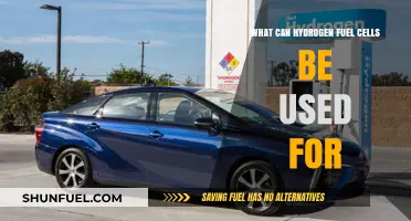 Hydrogen Fuel Cells: Powering Transportation, Industry, and Beyond