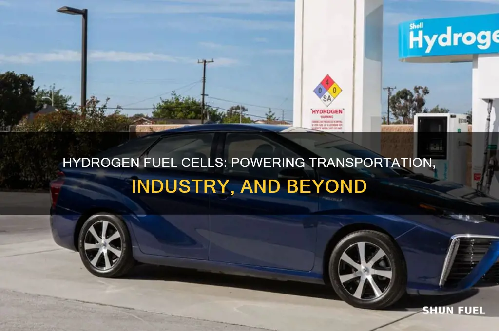 what can hydrogen fuel cells be used for