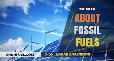 How to Reduce Your Fossil Fuel Footprint