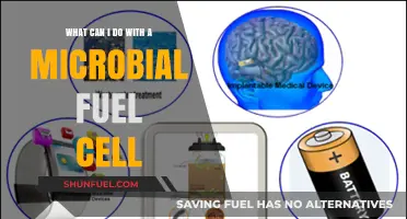 Harnessing Microbial Fuel Cells: Innovative Applications and DIY Projects