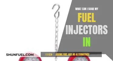 Fuel Injector Maintenance: Soaking Solutions for Optimal Performance