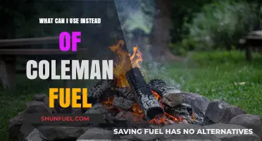 Eco-Friendly Alternatives to Coleman Fuel for Outdoor Adventures