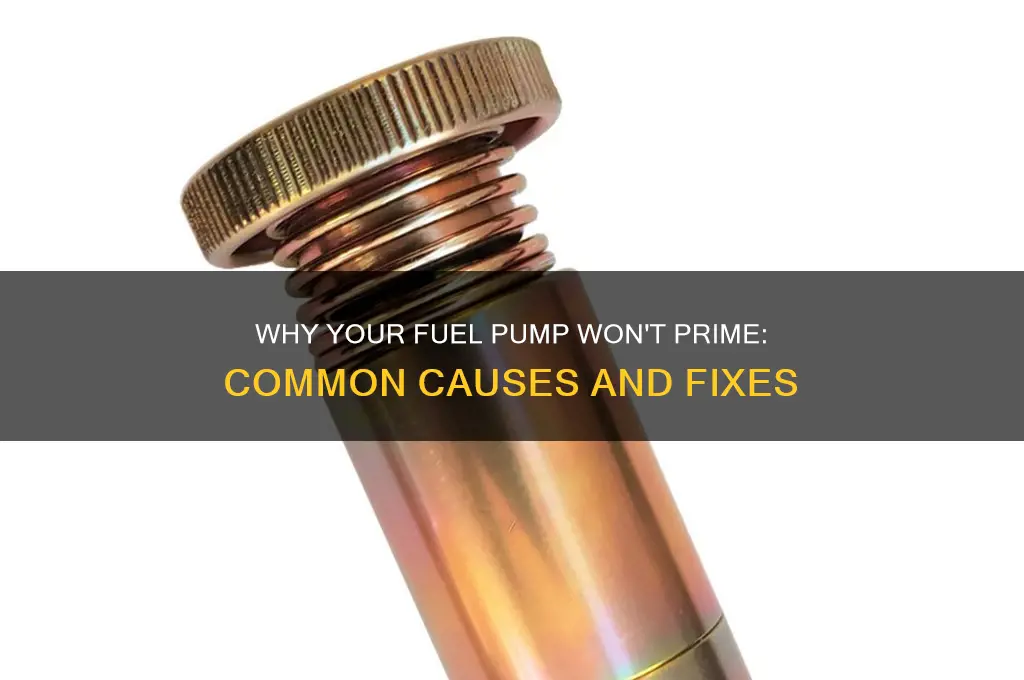what can keep fuel pump from priming