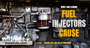 Fuel Injector Leaks: Damages, Repairs, and Maintenance Tips
