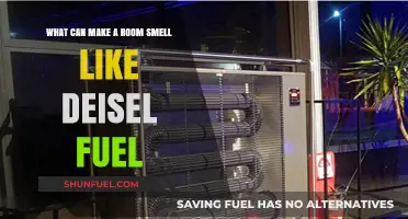 Why Does My Room Smell Like Diesel Fuel? Common Causes Explained