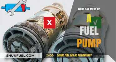 Common Causes That Can Damage or Destroy Your Fuel Pump