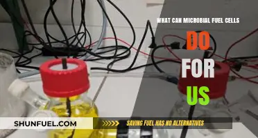 Microbial Fuel Cells: Powering Sustainable Solutions for Energy and Beyond