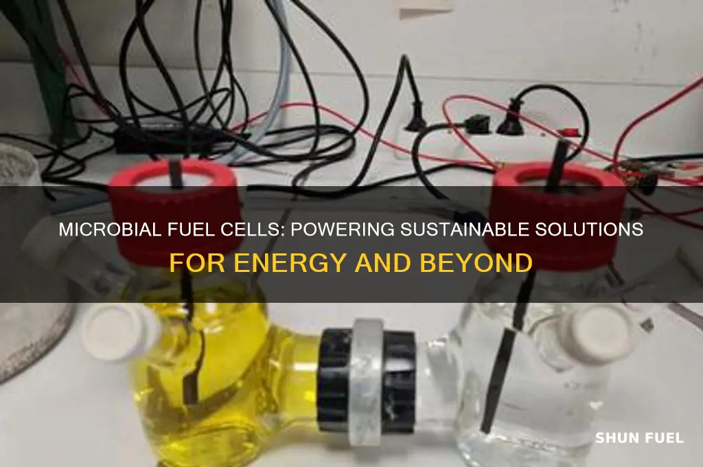 what can microbial fuel cells do for us