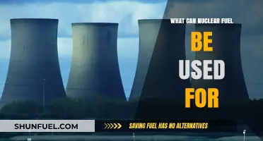 Exploring Nuclear Fuel Applications: Power, Medicine, and Beyond