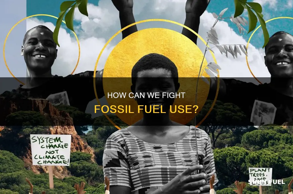 what can ordinary citizens do about fossil fuel issue