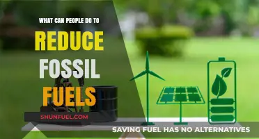 Sustainable Steps: How to Cut Fossil Fuel Dependence Effectively