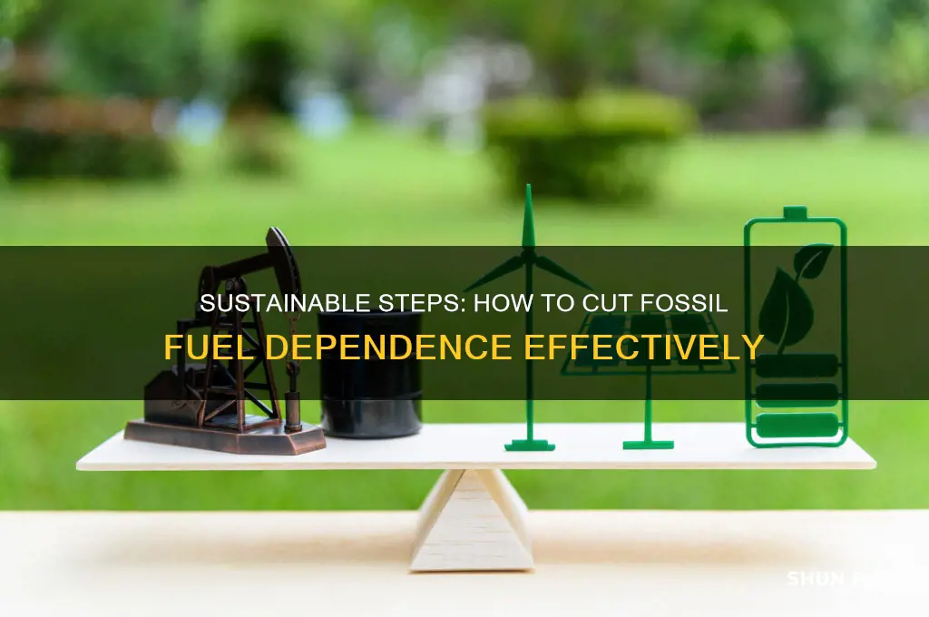 what can people do to reduce fossil fuels