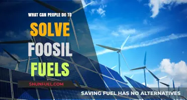Transitioning Beyond Fossil Fuels: Practical Steps for a Sustainable Future