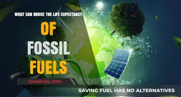 The Imminent End of Fossil Fuels: Factors Reducing Lifespan