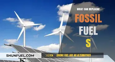 The Future of Energy: Alternatives to Fossil Fuels