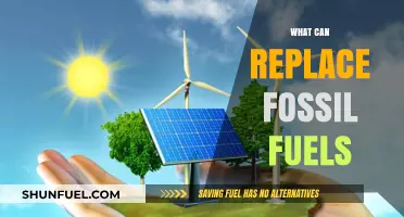 Sustainable Energy Alternatives: What Can Replace Fossil Fuels for a Greener Future