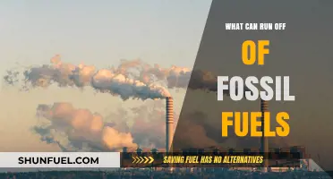Fossil Fuels: Powering Our Cars, Planes, and More