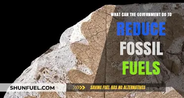 Policy Changes to Reduce Fossil Fuel Consumption