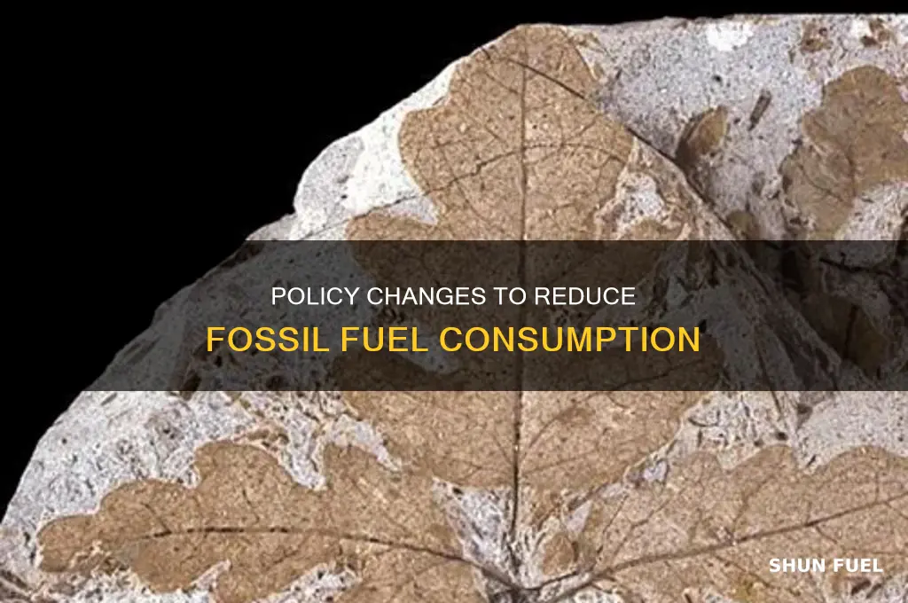 what can the government do to reduce fossil fuels