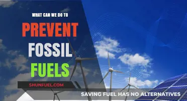 Sustainable Solutions: How to Phase Out Fossil Fuels and Embrace Clean Energy