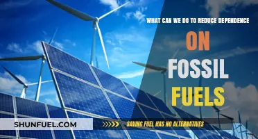 Sustainable Solutions: Reducing Fossil Fuel Dependence for a Greener Future