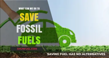 Preserving Fossil Fuels: Our Sustainable Future