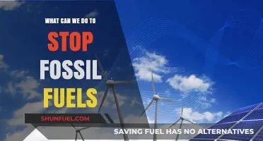 Ending Fossil Fuels: Our Collective Action Plan