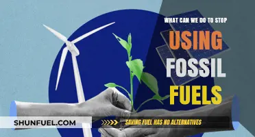 Transitioning to Clean Energy: Practical Steps to End Fossil Fuel Dependence