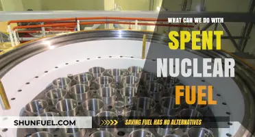 Repurposing Spent Nuclear Fuel: Innovative Solutions for a Sustainable Future
