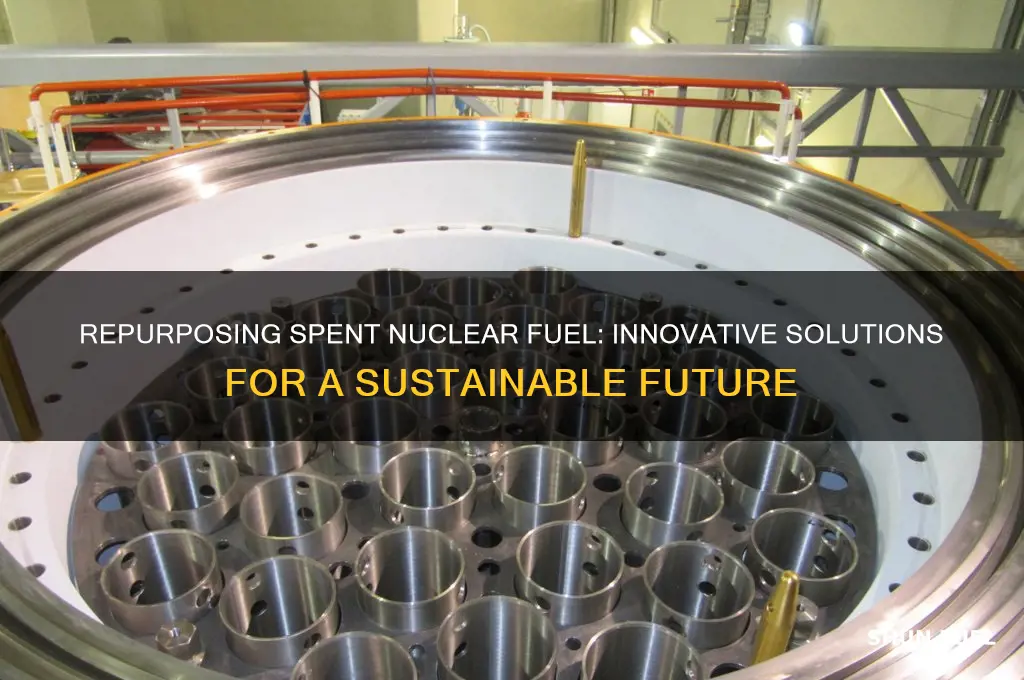 what can we do with spent nuclear fuel