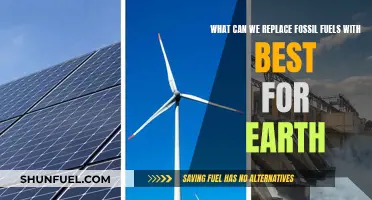 Renewable Energy Sources: Earth's Best Alternative to Fossil Fuels