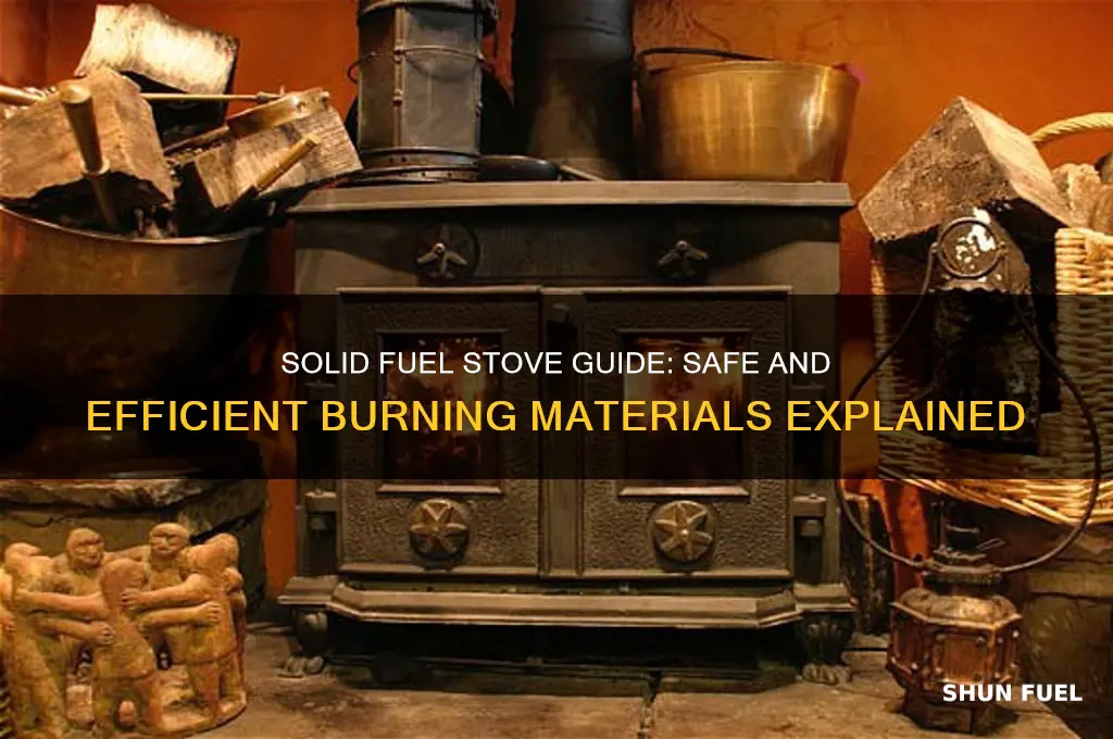 what can you burn in a solid fuel stove