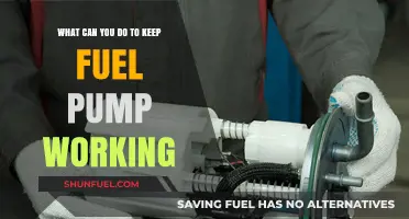 Essential Tips to Maintain Your Fuel Pump's Longevity and Performance
