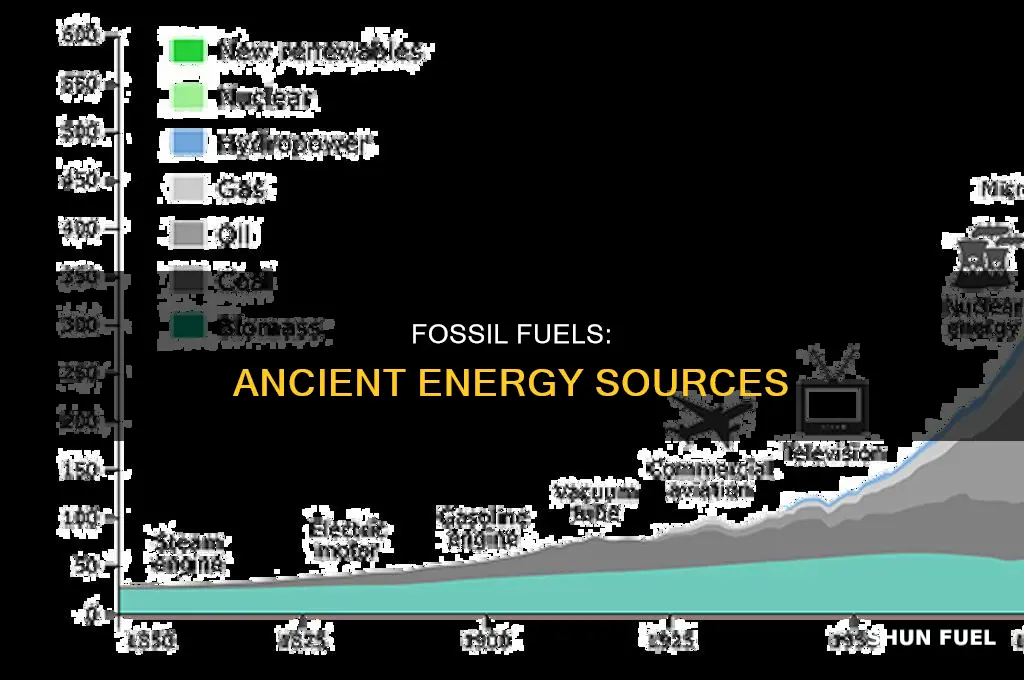 what can you infer about fossil fuels from their name