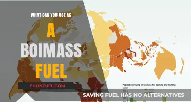 Exploring Sustainable Biomass Fuel Sources for Clean Energy Solutions