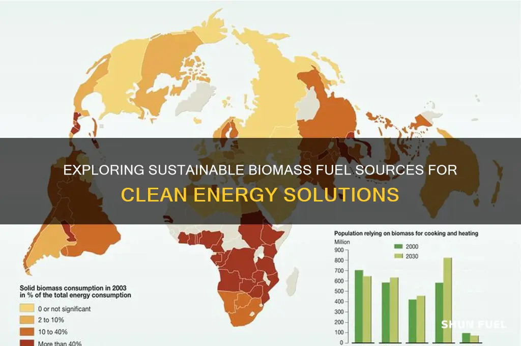 what can you use as a boimass fuel