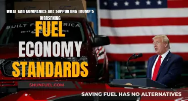 Trump's Fuel Standards: Which Car Companies Are Complicit?