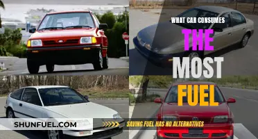 Fuel Guzzlers: Cars with the Highest Consumption Rates