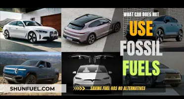 Electric Cars: The Future of Sustainable Transportation