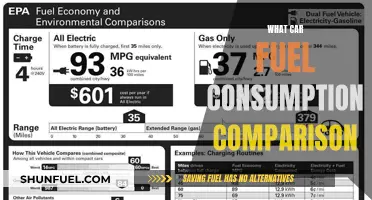 Car Fuel Efficiency: Comparing Consumption Rates