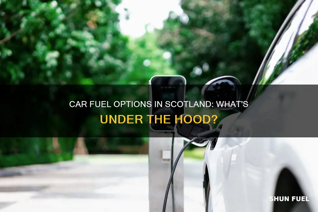 what car fuel is used in scotland