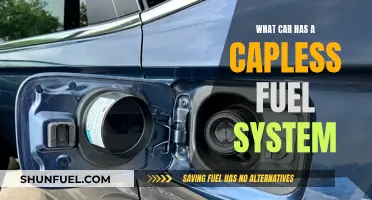 Capless Fuel Systems: Which Cars Have This Feature?