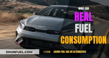 Real Fuel Consumption: What's Your Car Really Drinking?