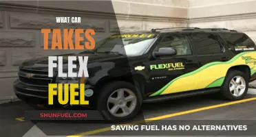 Flex Fuel Cars: Exploring Vehicle Options for Ethanol Blend