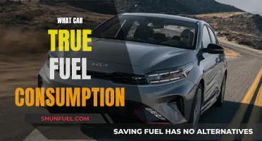 True Fuel Consumption: Are Cars Hiding the Truth?