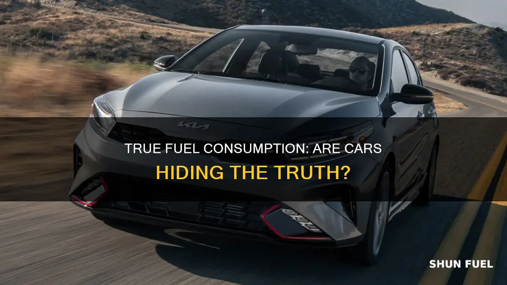 what car true fuel consumption
