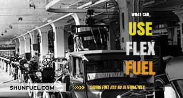 Flex Fuel Vehicles: Which Cars Run on Ethanol Blends?