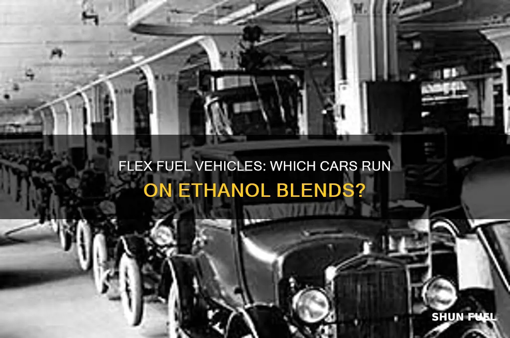 what car use flex fuel